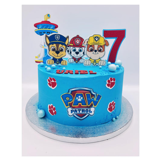 blue paw patrol birthday cake